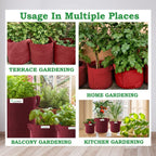 Tulsi Plant Grow Bag for Home/Gardening